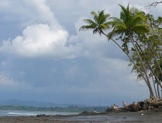 Pilon Point at low tide